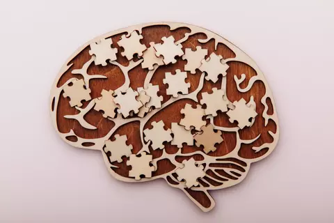 Hersenen met puzzelstukjes
