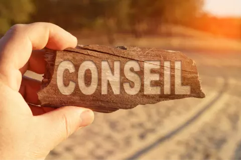 Conseil
