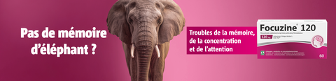 Pas de mémoire d'éléphant ? Focuzine® 120 pour les troubles de la mémoire, de l'attention et de la concentration
