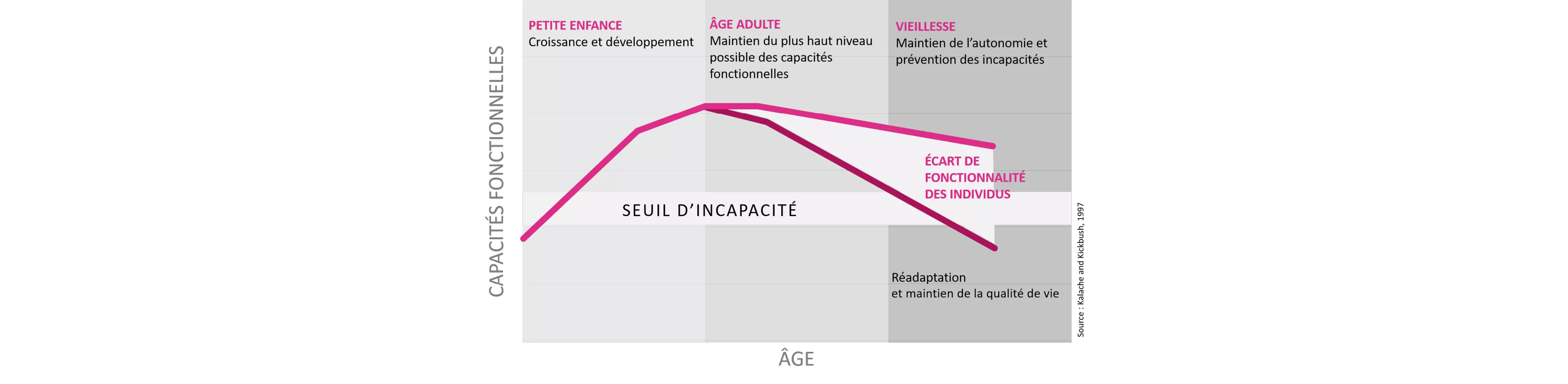 Le déclin cognitif